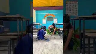 झींगा लाला vs निमोड़ा (part 11)