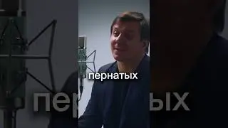 Узнали себя в стихах? 
