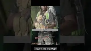 гадость на стримере - DayZ