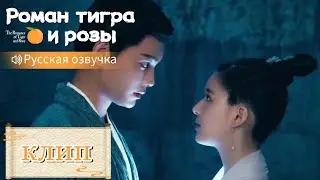 Она на самом деле готова умереть за него?💞Роман тигра и розы【Русская озвучка】传闻中的陈芊芊