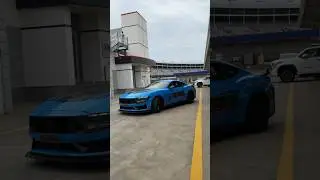 Pick Your 2024 Mustang Dark Horse! 🏎️