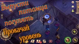 Грим соул. КОШКИ- Защитники от КРЫС. Как прокачать УРОВЕНЬ питомца.