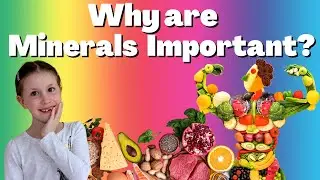 Why are Minerals important? | What are essential minerals?