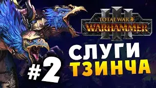 Тзинч - кампания Кайроса Судьбоплёта в Total War Warhammer 3 на русском - стрим #2