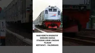 KERETA API EKSEKUTIF || SINDANG MARGA || STASIUN LUBUK LINGGAU  - KERTAPATI PALEMBANG