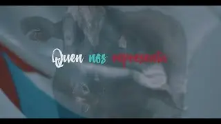Quen nos representa?