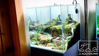 UPDATE | ADA 45C Planted Aquarium
