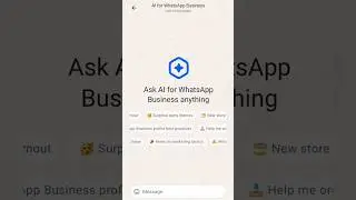 WhatsApp Business AI update 2024