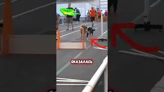 Он достоин уважения😳