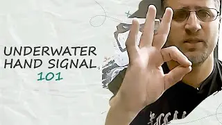 Mastering Underwater Communication: Hand Signals Simplified for Beginners #scuba #underwater