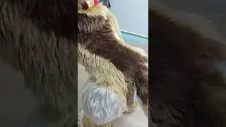 Хорячьи бесиловки 