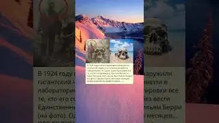 В 1924 году в лесах Нормандии обнаружили