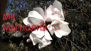 Мастер класс Магнолия из изолона / фоамирана