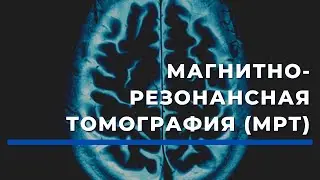 Магнитно-резонансная томография (МРТ) в сети клиник 