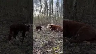 Нашли на закате 