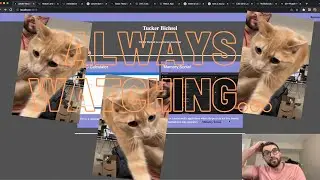 Using Material UI to style Next.js Portfolio App.