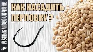 How to put barley on a hook | HD