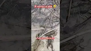 Кому адрес сказать, я раков просто не люблю!!! 