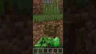 #minecraft #music #сид #seeds #love #landofthefreeintheshadows #майнкрафт #красота #beautiful