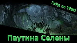 Паутина Селены