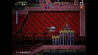 [Mushroom Kingdom Fusion V.08] World 9 FINALE