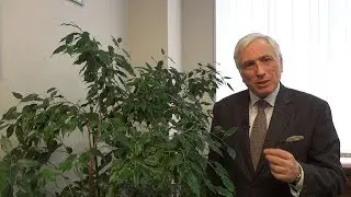 Подвиг лейтенанта Печерского отмечен. Через 28 лет после его смерти
