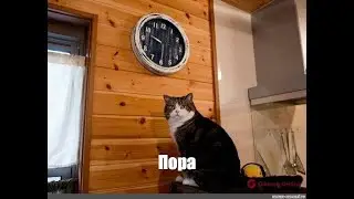 Видео для тех, кто долго не может бросить ставки.