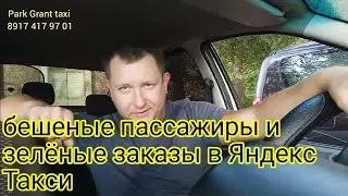 Бешеные пассажиры в такси /Справка о судимости / Зеленые заказы #яндекс