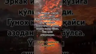 Сиз нима дейсиз? 