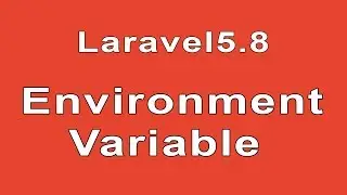 How laravel 5.8 environment variable works