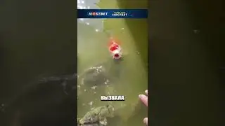 ИНТЕРЕСНАЯ ПРИКОРМКА