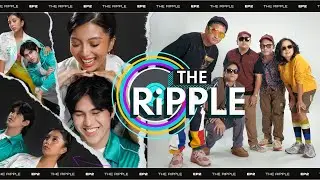 Mastering Longevity in Rock Music with Sandwich | The Ripple