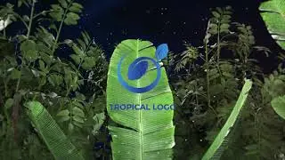 Logo | Tropical | After Effects Templates - Motion Array