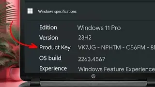 How to Find the Product Key for Windows 11 2024 | Find Windows 11 Product Key 2024