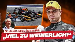 Bottas zu Williams? / Ocon zu Haas? / Horner warnt Norris / Lando zu "weinerlich" / Ricciardo hofft