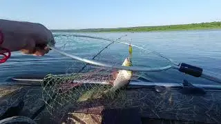 Вечерний троллинг на Томи
