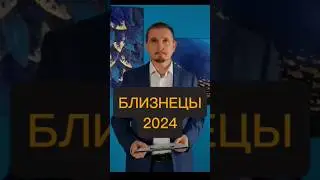 Близнецы на 2024 год
