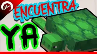 ✋🤬 Como ENCONTRAR el  TORTUGAS en Minecraft 1.21 🥶👉 en Minecraft 1.21 😎👌