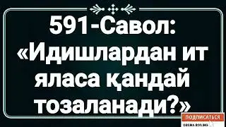 591-Савол:  «Идишлардан ит яласа қандай тозаланади?»