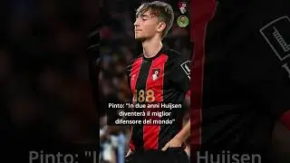 Pinto: 