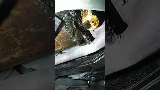 Дело было вечером дела Сама так Нарисовалась 🙃🙃🙃😁😁😁