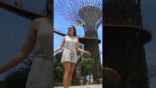 Top Things To Do📍Singapore