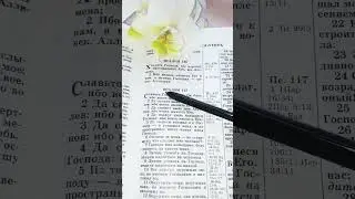 Самый маленький Псалом Библии 🤍Псалом 116