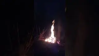 Казимир-Бубен Очищения.