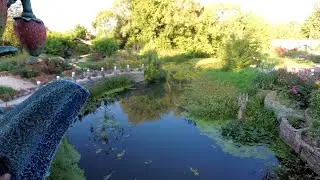 клумбы  во  дворе  идеи  для  дома.  страна  Вихляндия  туризм