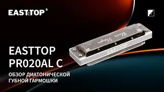Демо звучания губной гармошки EASTTOP PR020AL C