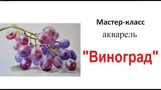 Акварель для начинающих. Урок рисования с натуры, натюрморт. Фрукты.  Виноград