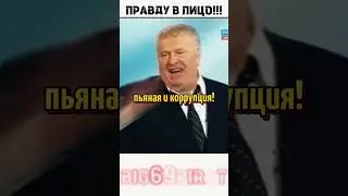 Жириновский Уничтожает Артистов! интервью Жириновского о политике! 