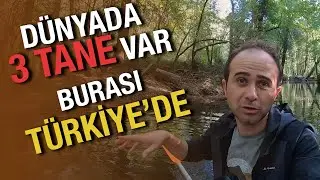 Burası Türkiye'de Desem ! İnanır Mısınız ??? | İğneada'da Kamp