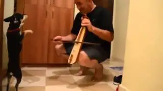 Kemençe ile Horon Tepen Köpek